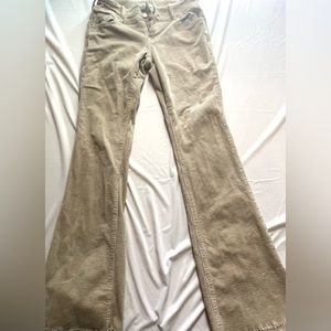 Pacsun tan low rise pants